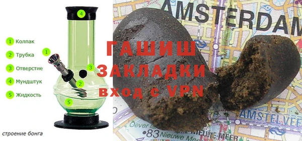 ПСИЛОЦИБИНОВЫЕ ГРИБЫ Вяземский