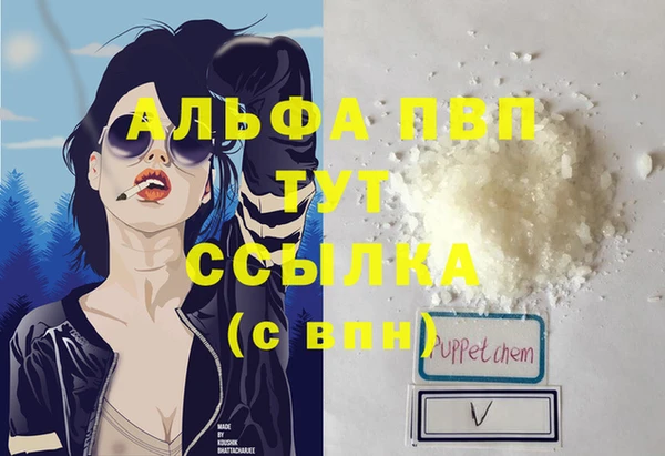 apvp Дмитров