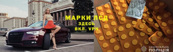 прущие грибы Алексеевка